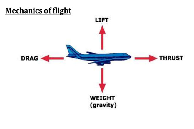 Aerodynamics and mechanics of flight